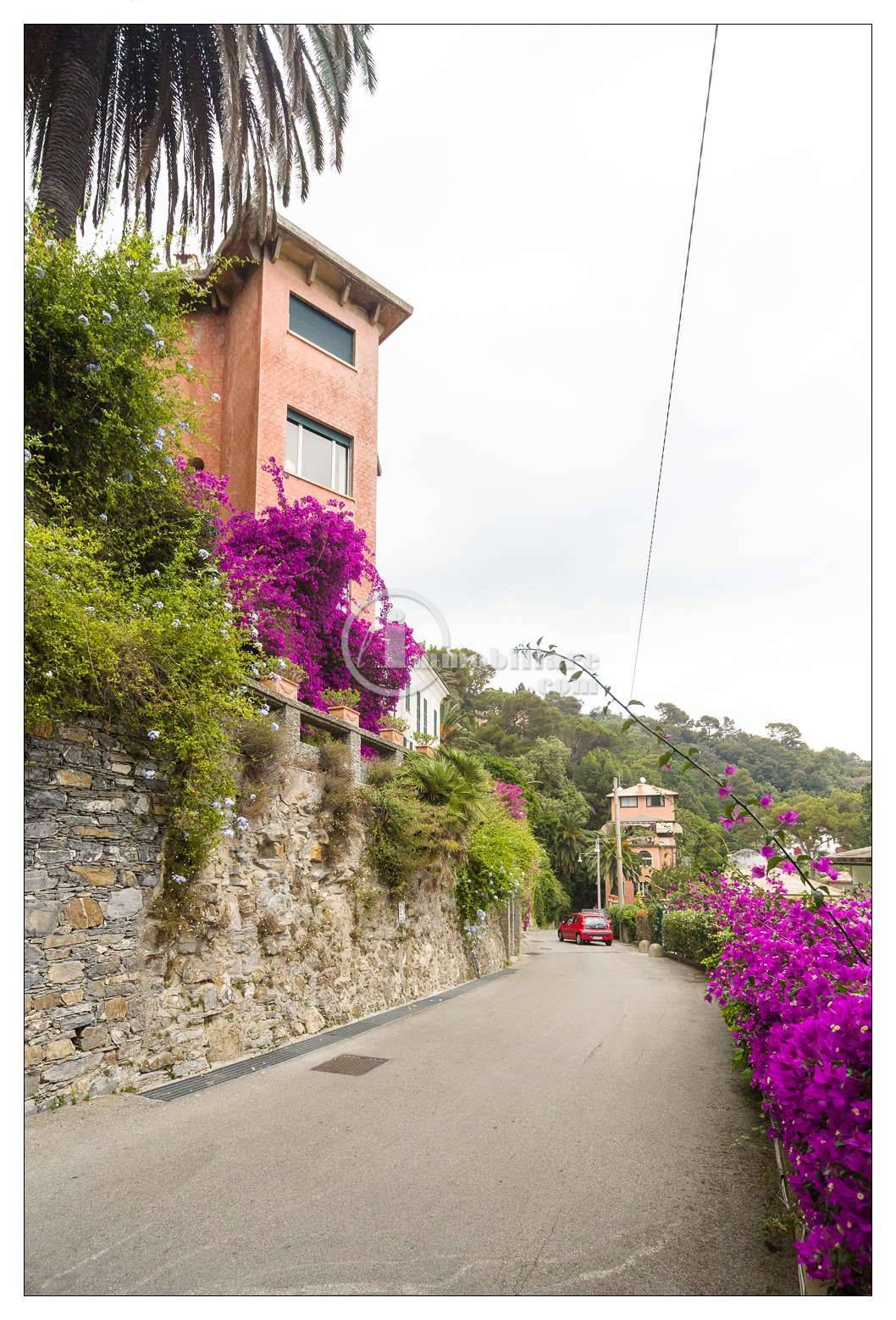 Villa in Vendita a Santa Margherita Ligure: 5 locali, 600 mq - Foto 13