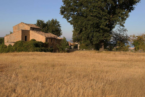 Rustico in vendita a Acquaviva Picena (AP)