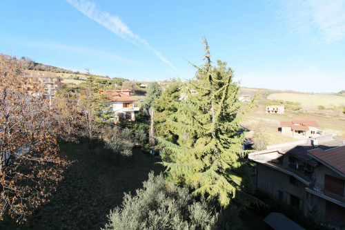 Appartamento in vendita a Colonnella