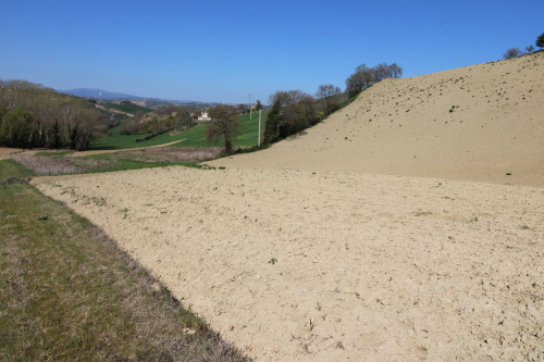 AGRICULTURAL LAND for sale in Montottone
