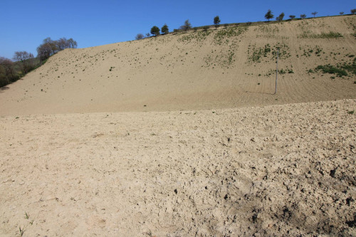 AGRICULTURAL LAND for sale in Montottone