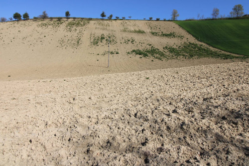 AGRICULTURAL LAND for sale in Montottone