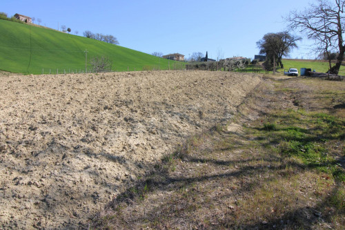 AGRICULTURAL LAND for sale in Montottone
