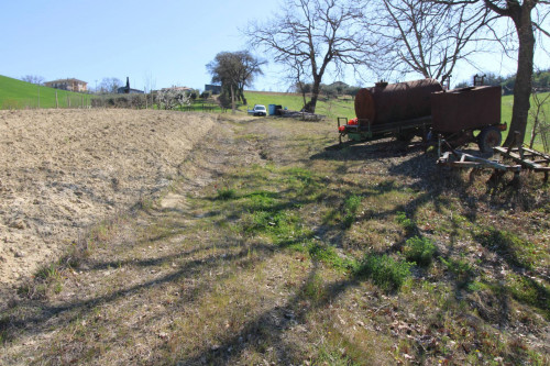 AGRICULTURAL LAND for sale in Montottone