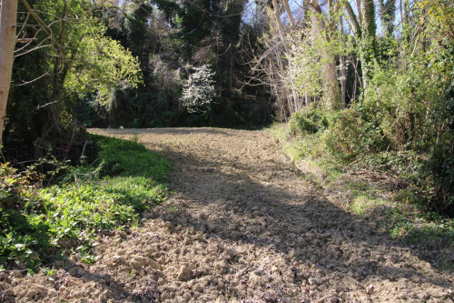 AGRICULTURAL LAND for sale in Montottone