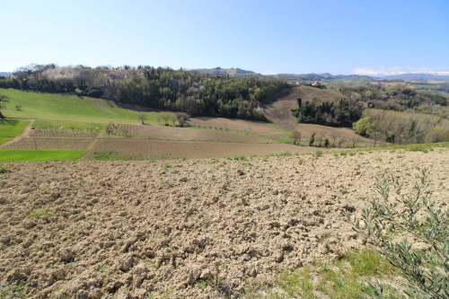 AGRICULTURAL LAND for sale in Montottone