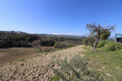 AGRICULTURAL LAND for sale in Montottone