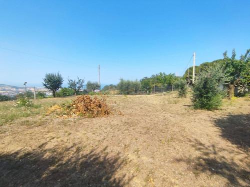RESIDENTIAL PLOT for sale in Colonnella