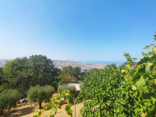 RESIDENTIAL PLOT for sale in Colonnella