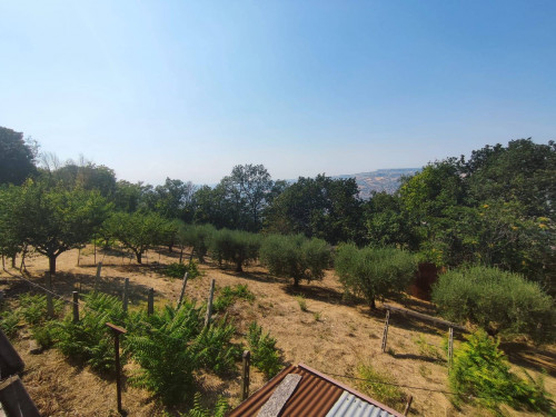 RESIDENTIAL PLOT for sale in Colonnella