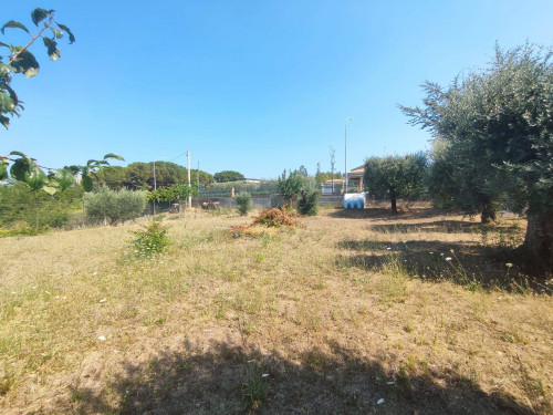RESIDENTIAL PLOT for sale in Colonnella