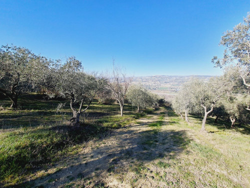 Casale / Rustico in vendita a Colonnella