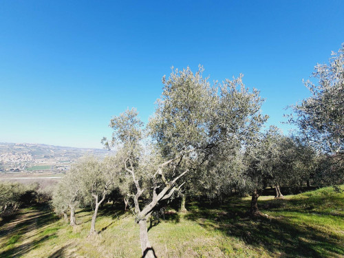 Casale / Rustico in vendita a Colonnella