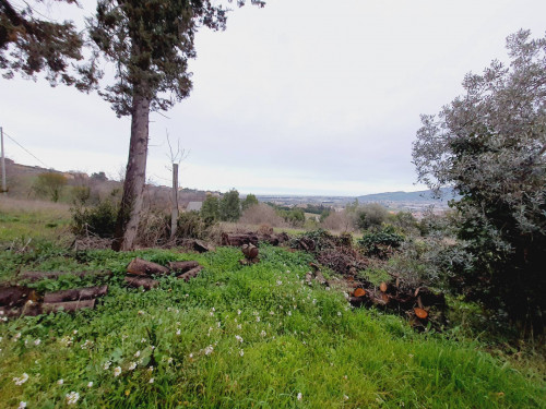 Terreno edificabile residenziale in vendita a Monteprandone