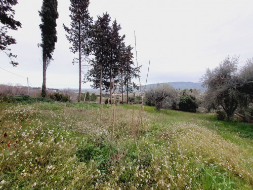 Terreno edificabile residenziale in vendita a Monteprandone