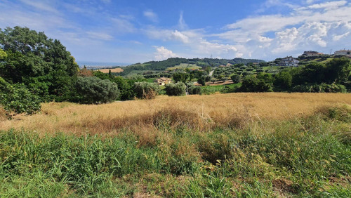 RESIDENTIAL PLOT for sale in Colonnella