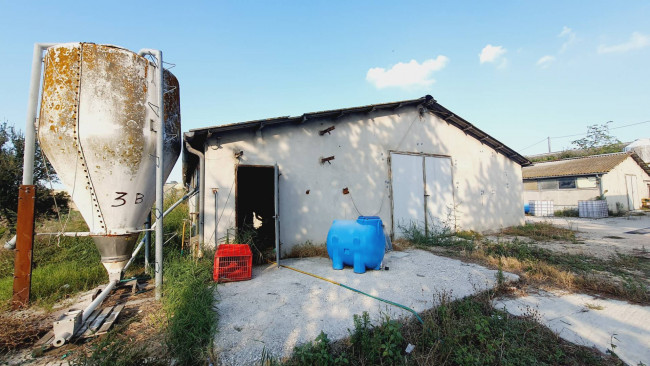Casa in vendita a Offida
