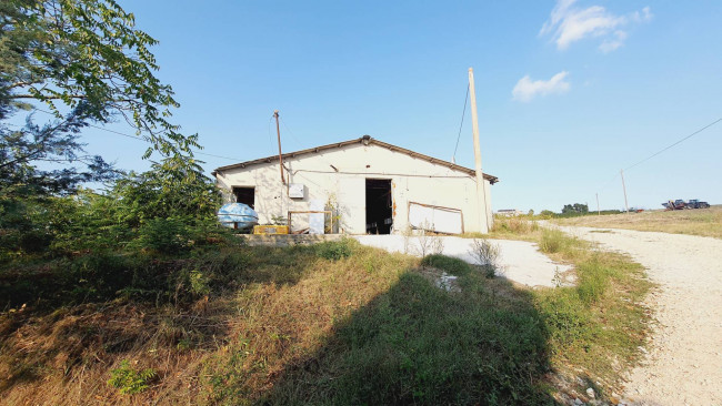 Casa in vendita a Offida