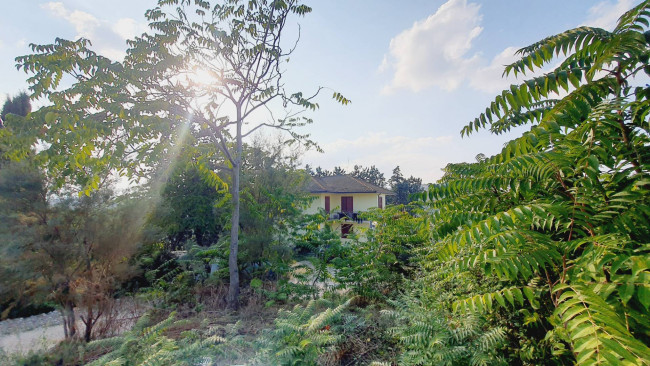 Casa in vendita a Offida