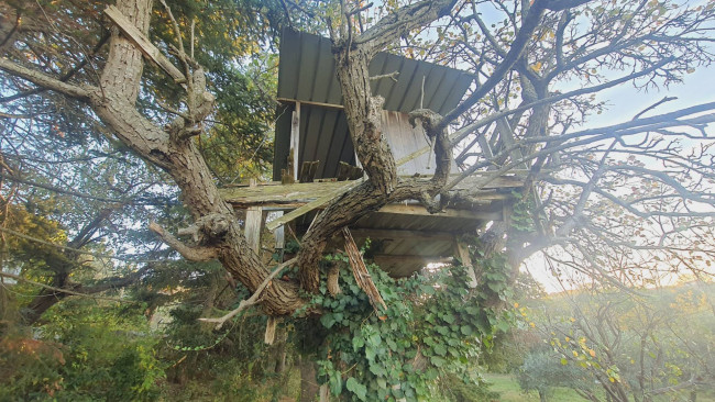 Villa in vendita a Colonnella