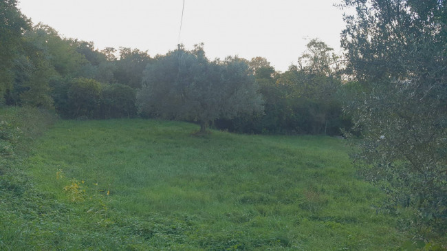Villa in vendita a Colonnella