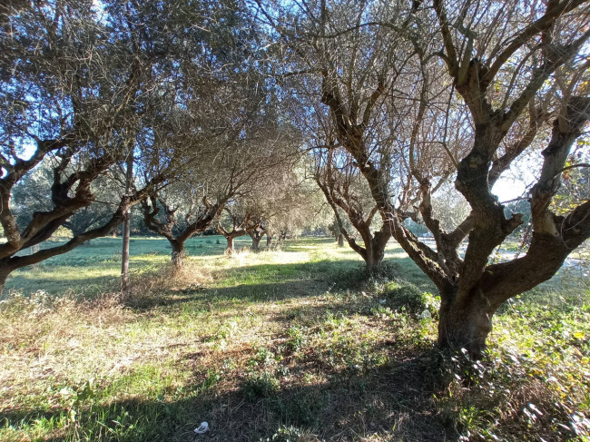 Casale / Rustico in vendita a Martinsicuro
