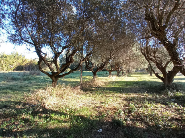Casale / Rustico in vendita a Martinsicuro