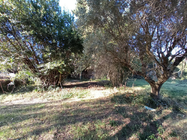 Casale / Rustico in vendita a Martinsicuro