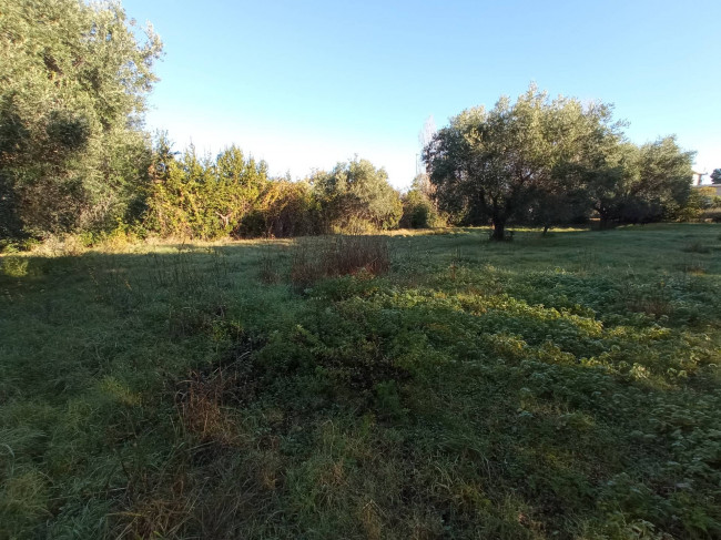Casale / Rustico in vendita a Martinsicuro
