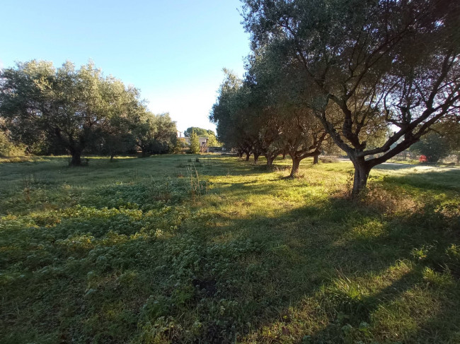 Casale / Rustico in vendita a Martinsicuro