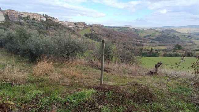 Appartamento in vendita a Petritoli