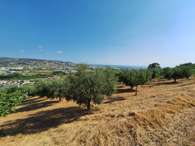 Terreno agricolo in vendita a Colonnella
