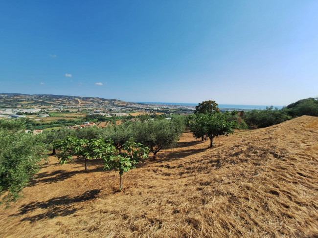 Terreno agricolo in vendita a Colonnella