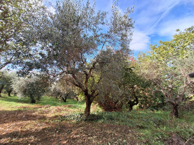 Villa in vendita a Folignano (AP)