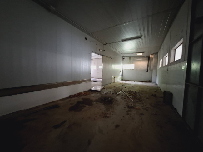 BARN, HANGAR for sale in Cupra Marittima