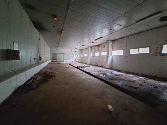 BARN, HANGAR for sale in Cupra Marittima