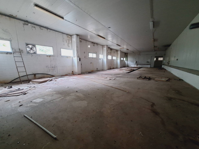 BARN, HANGAR for sale in Cupra Marittima