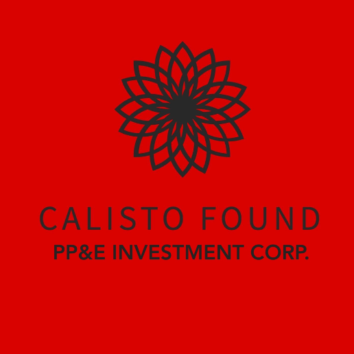 Calisto Found S.L. - Partner operativo - Agente