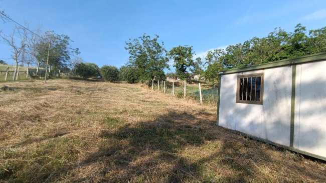 Terreno agricolo in vendita a Monteprandone