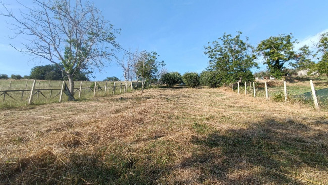 Terreno agricolo in vendita a Monteprandone