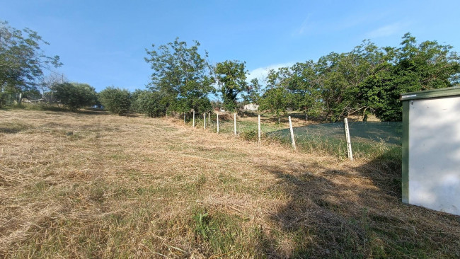 Terreno agricolo in vendita a Monteprandone