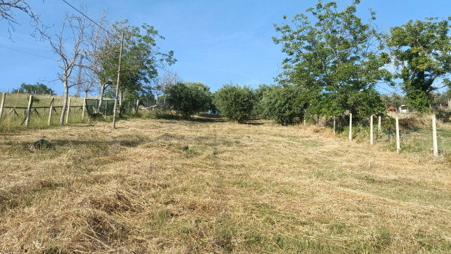 Terreno agricolo in vendita a Monteprandone