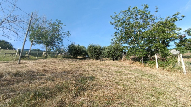 Terreno agricolo in vendita a Monteprandone