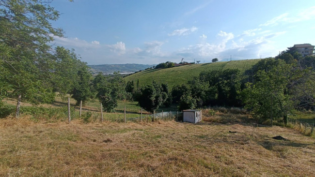 Terreno agricolo in vendita a Monteprandone