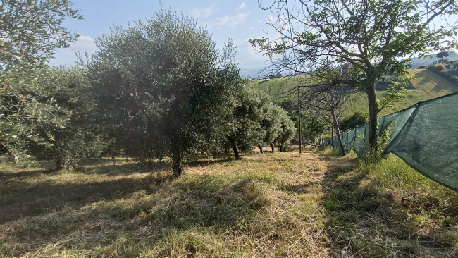 Terreno agricolo in vendita a Monteprandone