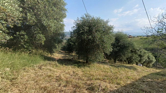 Terreno agricolo in vendita a Monteprandone