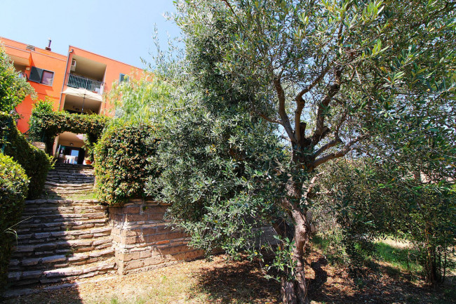 Appartamento in vendita a Grottammare
