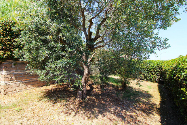 Appartamento in vendita a Grottammare