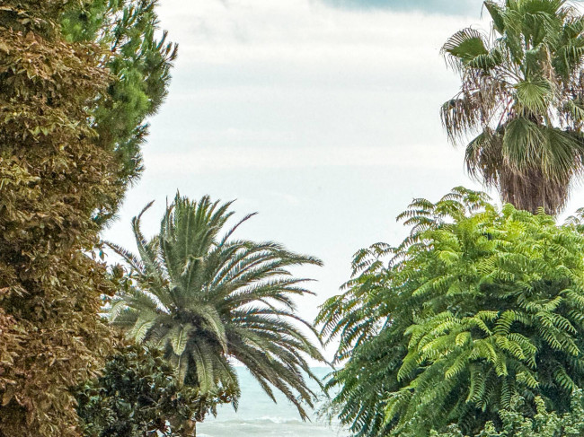 Appartamento in affitto stagionale a San Benedetto del Tronto