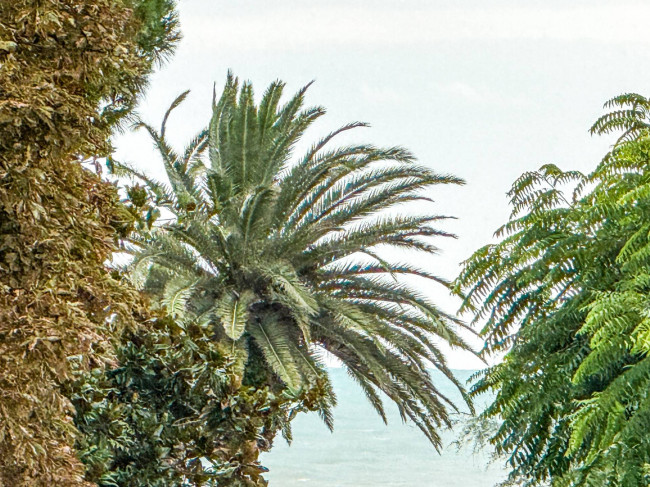 Appartamento in affitto stagionale a San Benedetto del Tronto
